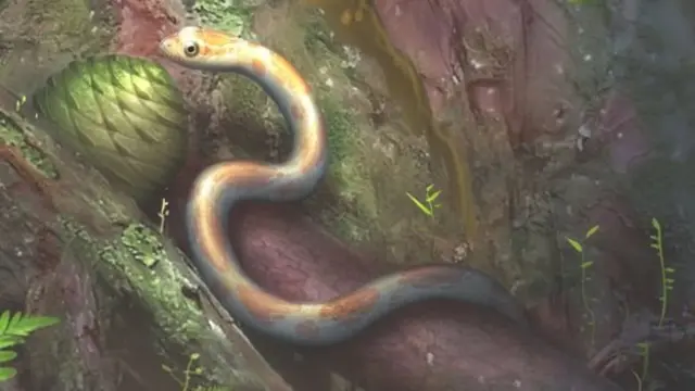 ภาพจากฝีมือศิลปินแสดงให้เห็นผิวหนังของงูชนิดที่ทิ้งคราบไว้ในอำพันอีกก้อนหนึ่ง