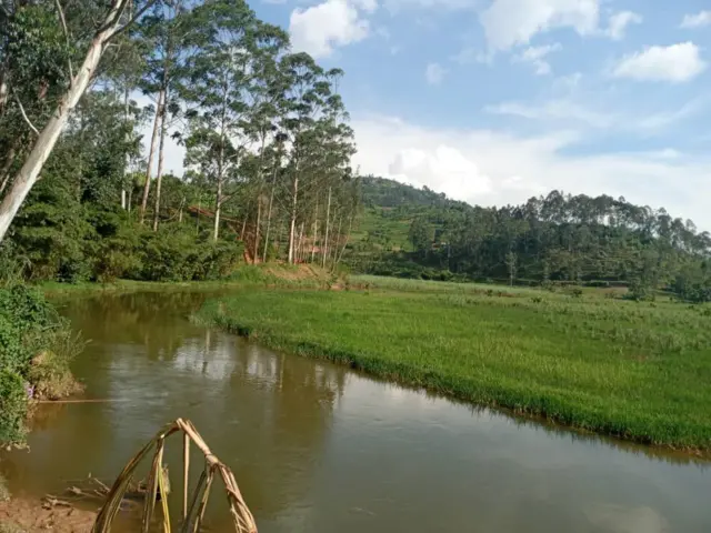 Igishanga cya Rugezi