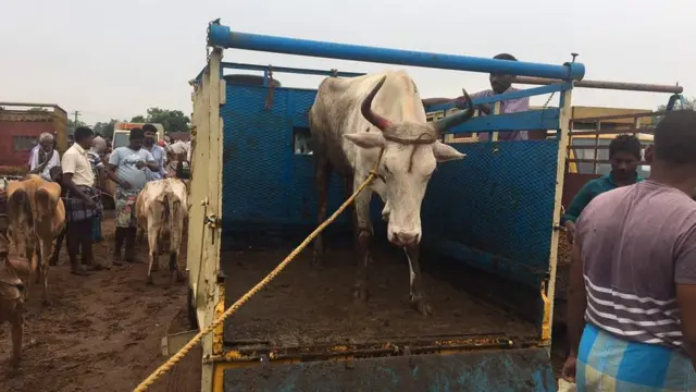 'தமிழகத்தில் 40 ஆண்டுகளாக பசுவதைத் தடைச் சட்டம் அமலில் உள்ளது'