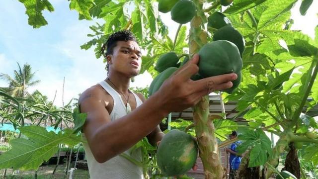 Taiwan finance la ferme Fatoaga Fiafia à Tuvalu pour qu'elle cultive des aliments dans des conditions contrôlées. Les terres ont dû être importées en raison de la salinité du sol.