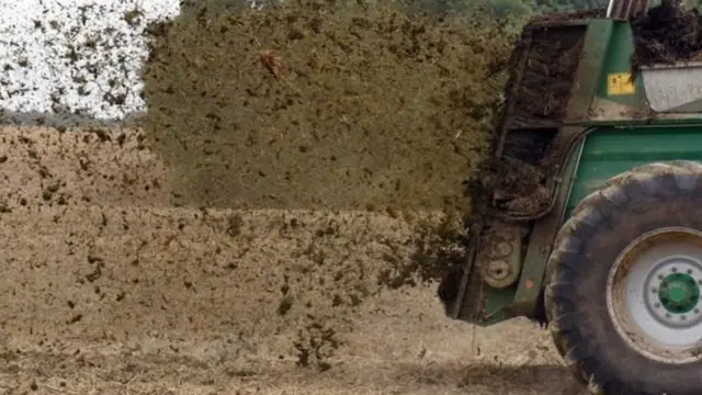 Pəhriz kənd təsərrüfatı gübrə