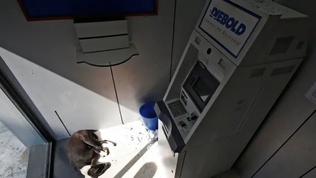 कोलकाता के एक एटीएम काउंटर में सोया कुत्ता