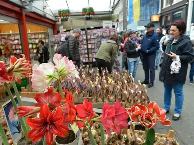 Amsterdam Çiçek Pazarı