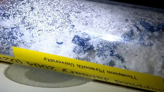 현미경으로 관찰한 플라스틱 봉지