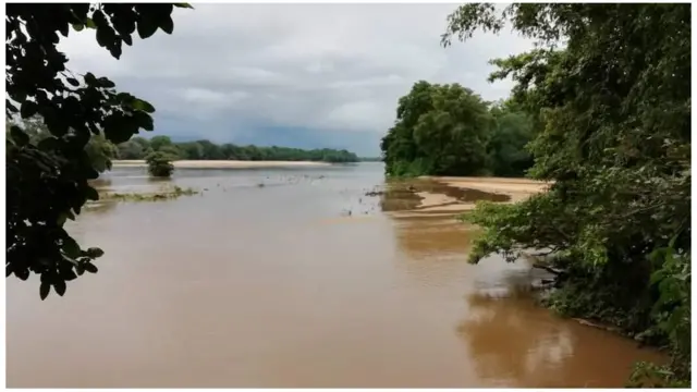 මහවැලි ගඟේ පිටාර තැන්නෙ අයත් මේ වනෝද්‍යානයේ විල්ලු පරිසර පද්ධතියක් දක්නට ලැබේ.