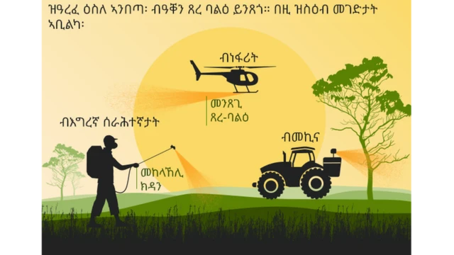 መስርሕ ምንጻግ ኬሚካል