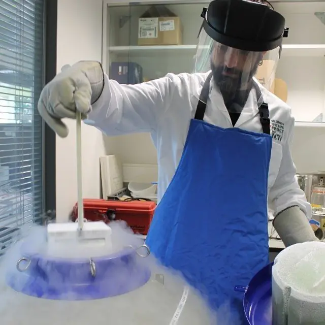 Dani Ballesteros haciendo criopreservación en Kew Gardens