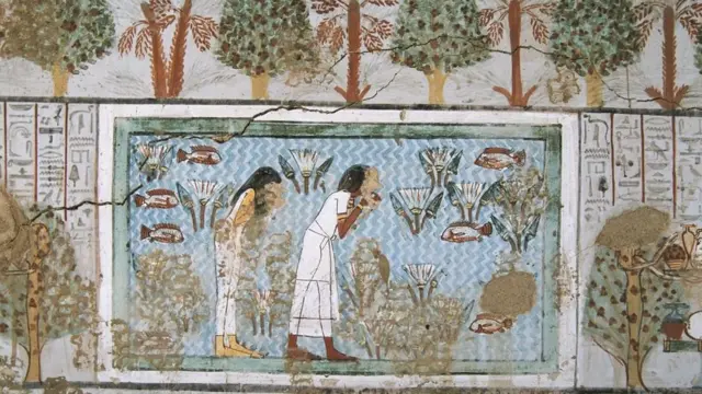 مشهد لحقول زراعة النباتات العطرية