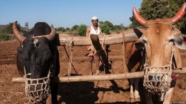 ખેતી કરતાં ખેડૂત