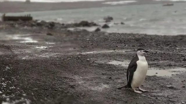 अंटार्टिका का गांव