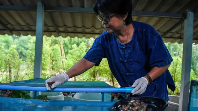 ภาทินีสิริ แตงเขียว ครูใน จ.นครนายก ที่ทำฟาร์มหอยทากเป็นอาชีพเสริม