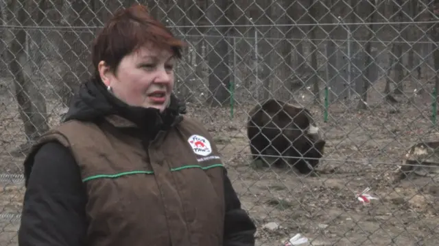 Наталія Галайко