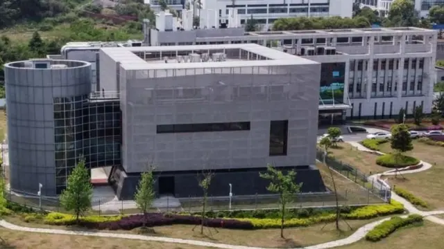 معهد الفيروسات في ووهان