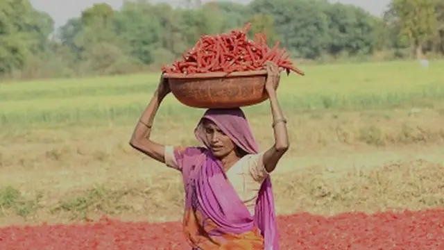 ખેડૂત મહિલા