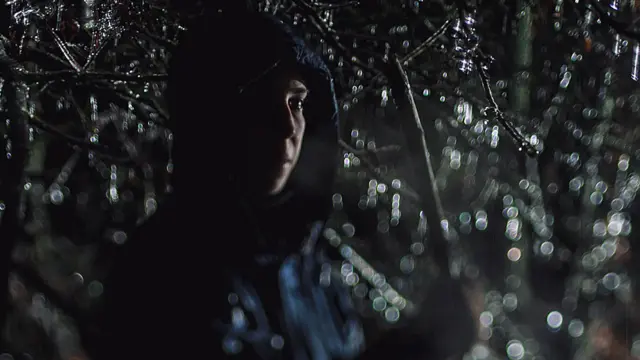 Soledad entre árboles.