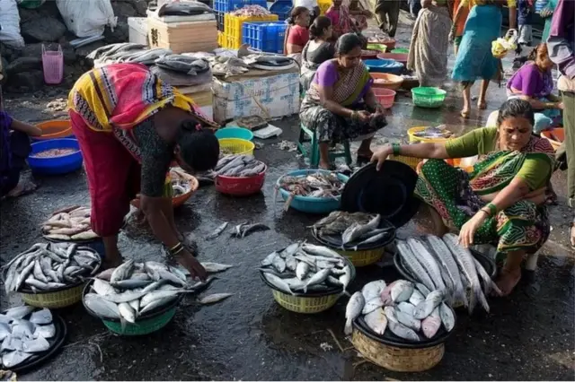 માંસાહાર