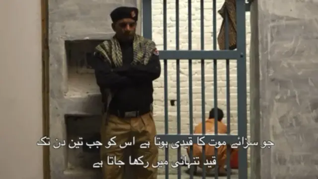 زندگی تماشا