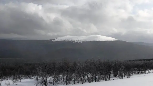 Dyatlov geçidi vakası