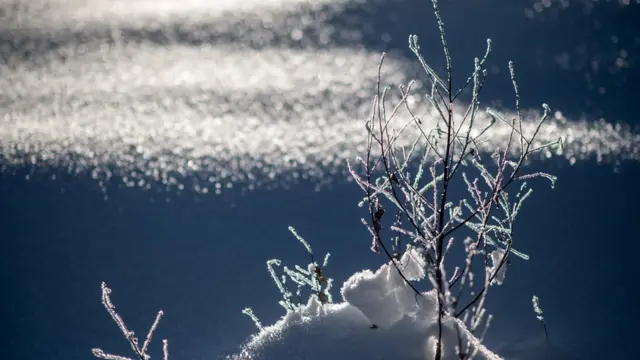 หิมะเกาะกิ่งน้ำแข็งในวันที่แสงแดดอบอุ่นสาดส่อง ใกล้เมืองฮอชฟิลเซน ออสเตรีย ภาพนี้ถ่ายเมื่อวานนี้ (7 ธ.ค.)