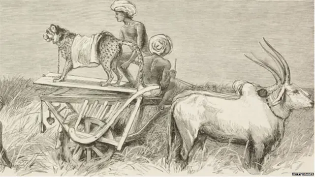 हिरनों का शिकार करते हुए एक पेंटिंग