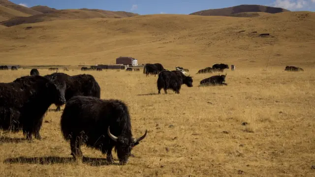 Дорогою до Китаю