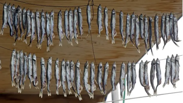 Pescados puestos a secar.