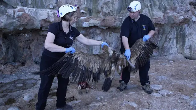 Los arqueólogos Finlayson muestran a un buitre.