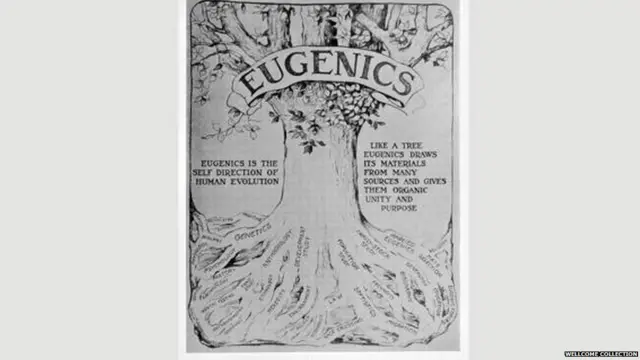 ਯੂਜੈਨਿਕਸ