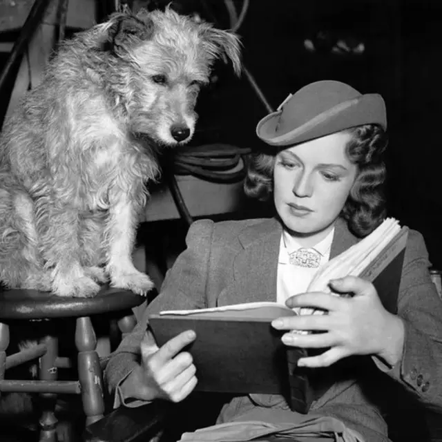 Vežbanje i obučavanje može da poveća vezu između neurona za formiranje sećanja kod svih životinja, naročito kada postoji odmor između njih