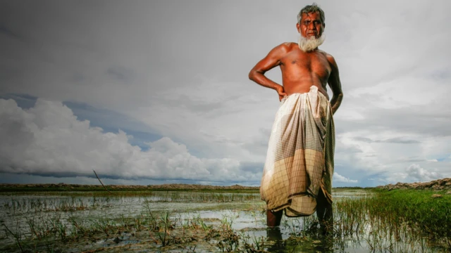 Un cultivateur de riz