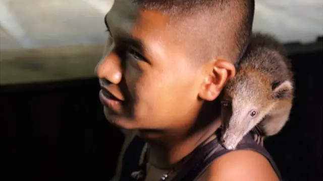 Guerrillero con coatí