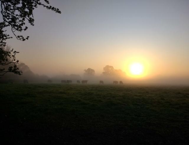 Sunrise across fields