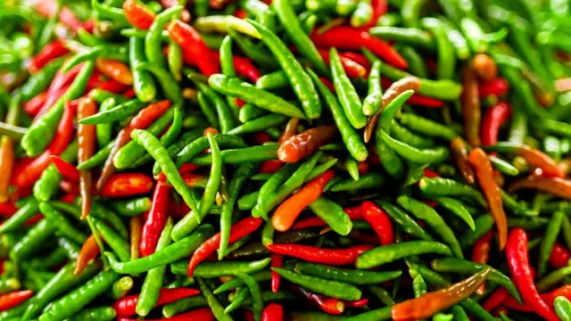 TRPV1, реагирующий на высокую температуру, активируется и при контакте с капсаицином, содержащимся в перце чили