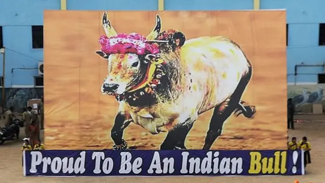 जल्लीकट्टु का बैल