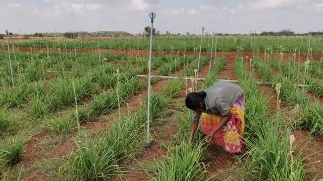 சந்திரா