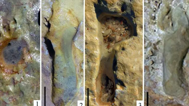 сліди неандертальців