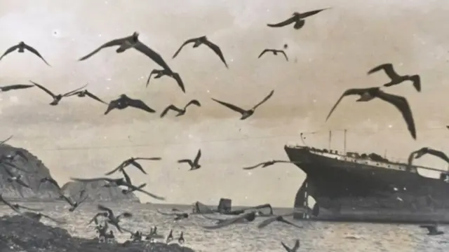 ఫెర్నాండో డీ నోరోన్హా దీవులు