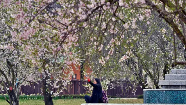 سری نگر میں موسمِ بہار