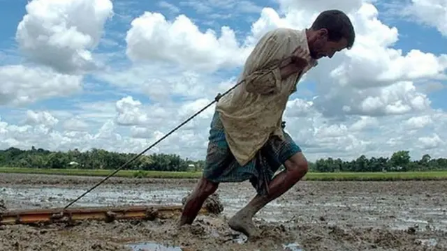 పొలంలో పనిచేస్తున్న రైతు