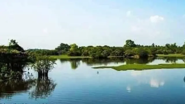 මුතුරාජවෙල