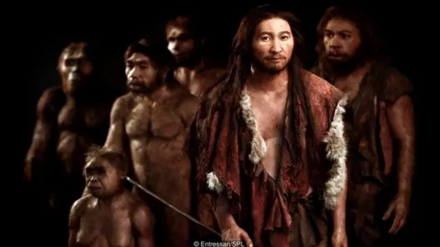 कपडे,लाइफस्टाइल