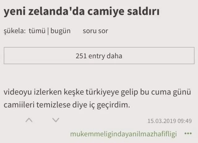 Ekşi Sözlük'e girilen entry