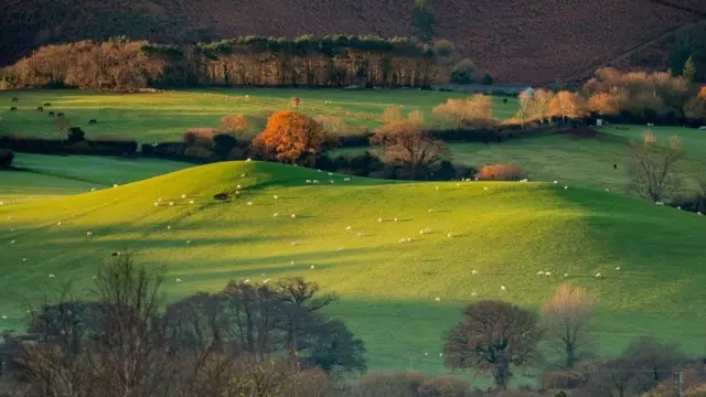இந்த புகைப்படத்தை புகைப்பட கலைஞர் ஷவுன் டேவே எக்ஸ்மோர் தேசிய பூங்கா அருகே எடுத்திருக்கிறார்.