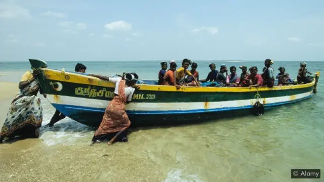 రామేశ్వరం సమీపంలో అనేకమంది మత్స్యకారులు నాచు సేకరణతో ఉపాధి పొందుతున్నారు