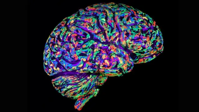 मस्तिष्क