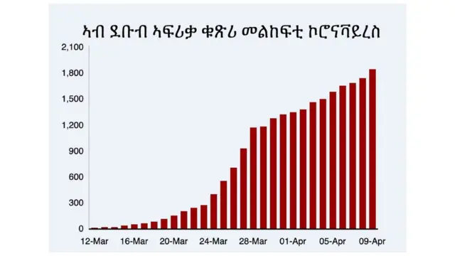 መልከፍቲ ኣብ ደቡብ ኣፍሪቃ