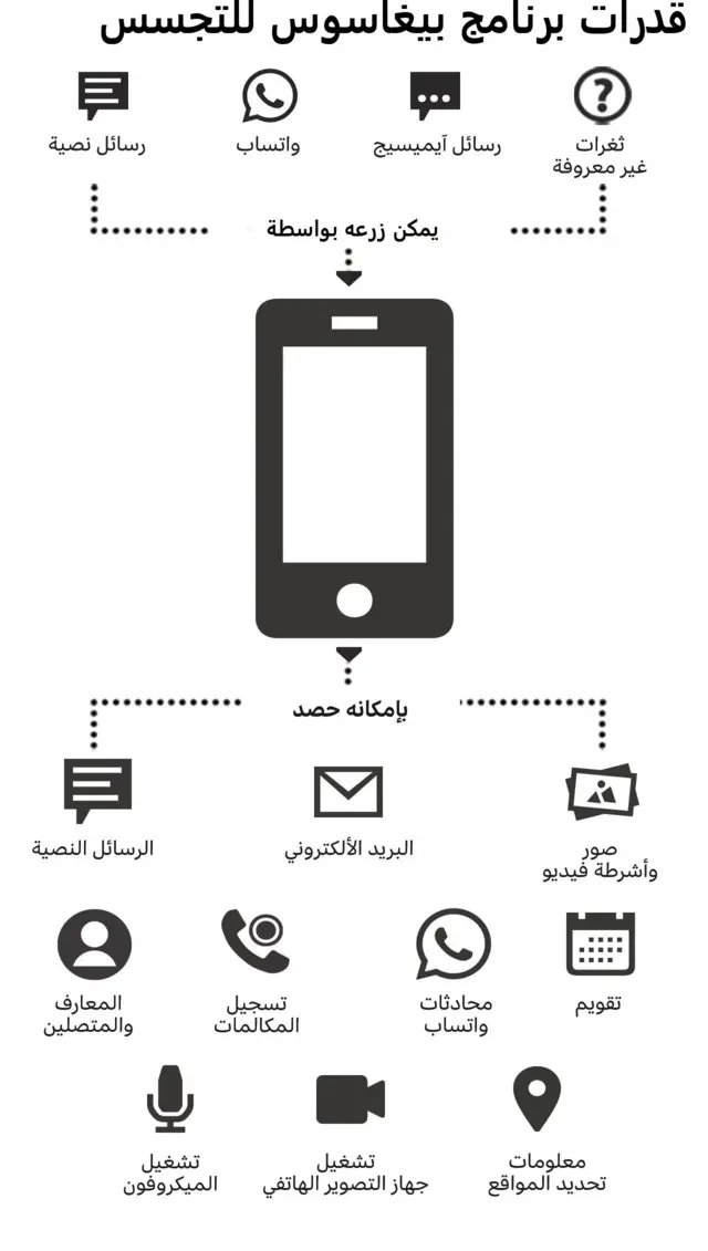 Pegasus arabic graph