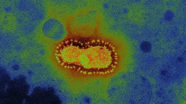 Koronavirus uşaqlar koronavirusa yoluxmur
