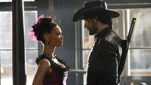 वेस्टवर्ल्ड सीरियल