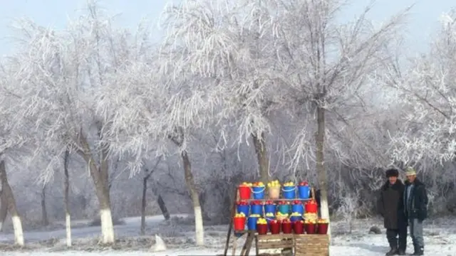 İpək Yolu ticarəti almanı Qazaxıstandan Avropaya, Çinə və Şimali Amerikaya tanıdıb